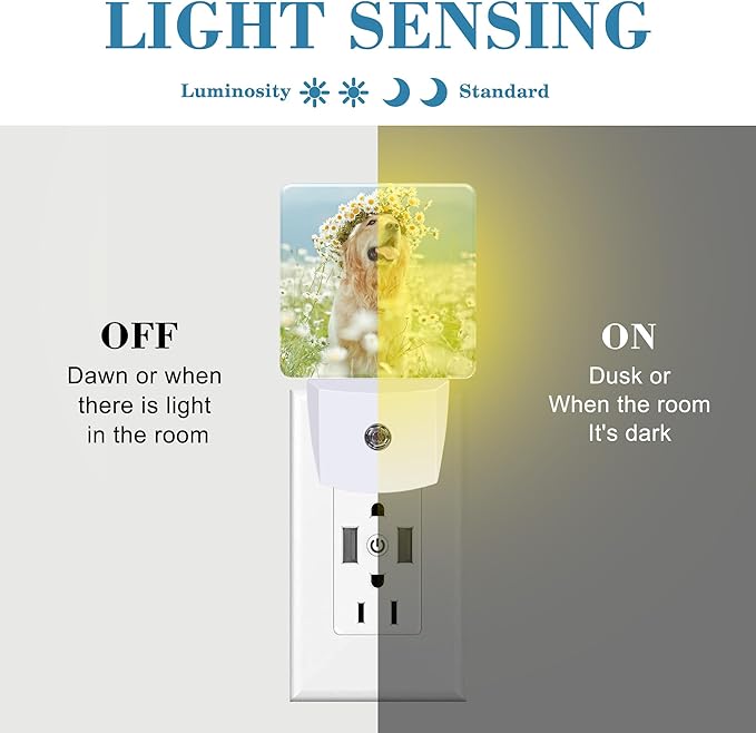 Plug in Night Lights Golden Retriever with Daisy Wreath Night Light with Dusk to Dawn Sensor Night Light for Kid Girls Boys Women Men Room Decor, Hallway, Kitchen, Bathroom, Nursery, Stairs