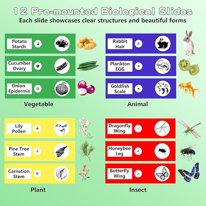 Microscope for Kids with 12 Slides, 100X-1000X 1080P Digital Handheld Kids Microscope, Mini Portable Pocket Miniscope Science Toys Gifts for 3+ 4 5 6 7 8 9 10 11 12 Year Old Boys Girls, Pink