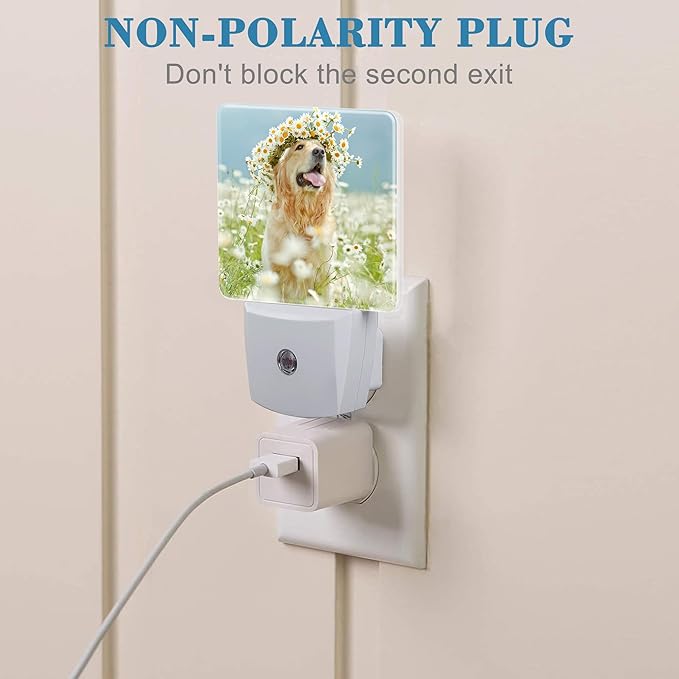 Plug in Night Lights Golden Retriever with Daisy Wreath Night Light with Dusk to Dawn Sensor Night Light for Kid Girls Boys Women Men Room Decor, Hallway, Kitchen, Bathroom, Nursery, Stairs