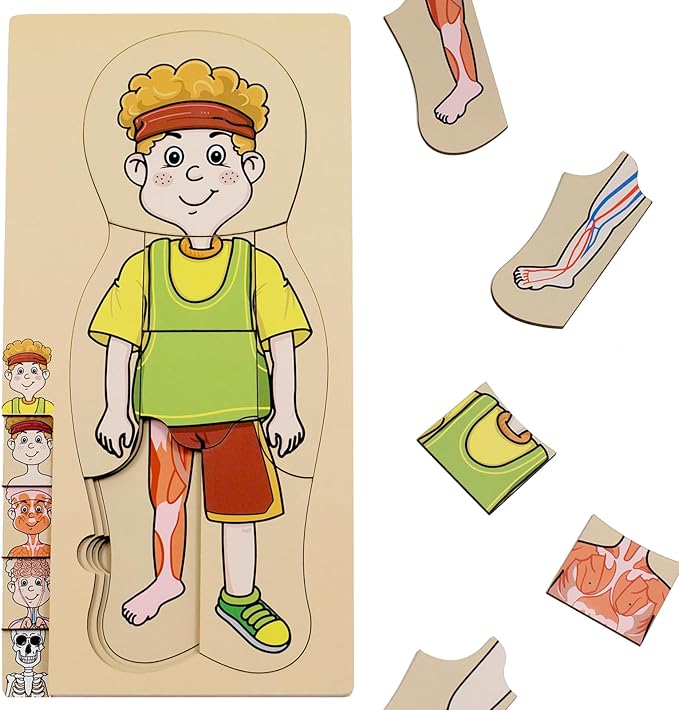 My Body Parts Puzzle for Toddlers Kids Girls Boys Montessori Wooden Anatomy Puzzle 3-5 Years Old Preschool Learning Game Human Body Cognitive Toys