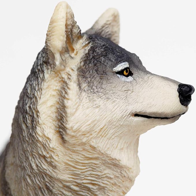 Safari Ltd. Gray Wolf Toy Figurine - Detailed 4.8" Plastic Model Figure - Fun Educational Play Toy for Boys, Girls & Kids Ages 3+