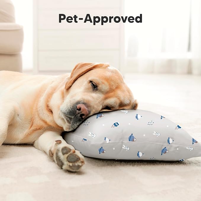 Toddler Pillow with Pillowcase - 13x18 My Little Dreamy Kids Travel Bed Pillows for Sleeping, Organic Cotton Small Pillowcase, Soft & Breathable, Machine Washable, Toddlers 2-5 Years Old (Cosmo)