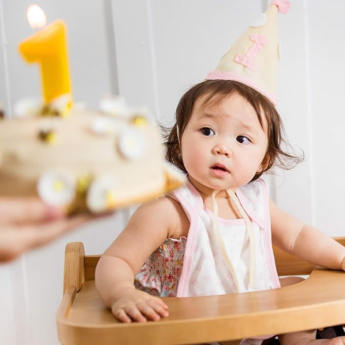 Burt's Bees Baby unisex baby Bibs, Lap-shoulder Drool Cloths, 100% Organic Cotton With Absorbent Terry Towel Backing Bibs, Tossed Succulents, 5-Pack US