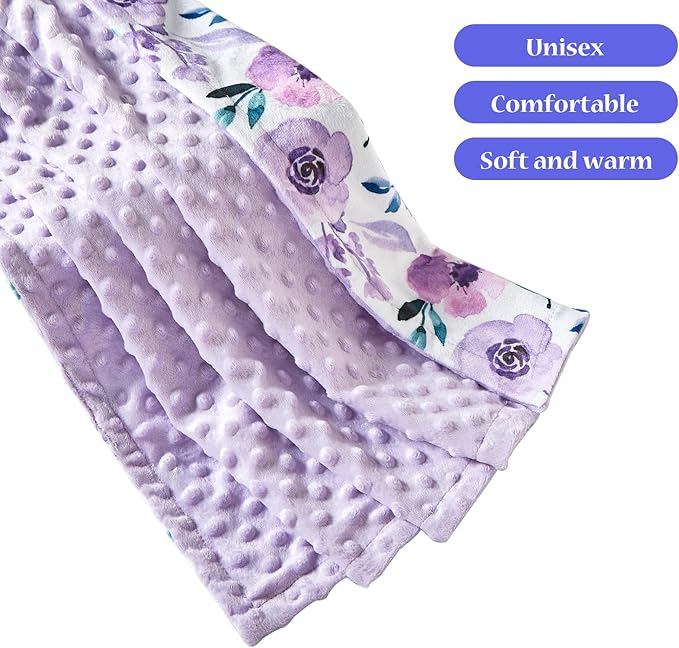 iEvolve Baby Nursery Bed Blankets Ultra Soft Double Layer Mini Blanket Minky Blanket Receiving Blankets Shower Gifts(30"*40",Roses)