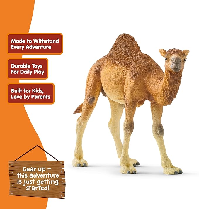 Schleich Wild Life Realistic Dromedary Camel Figurine - Authentic and Highly Detailed Wild Animal Toy, Durable for Education and Fun Play, Perfect for Boys and Girls, Ages 3+, Multicolor, 3.9 inch