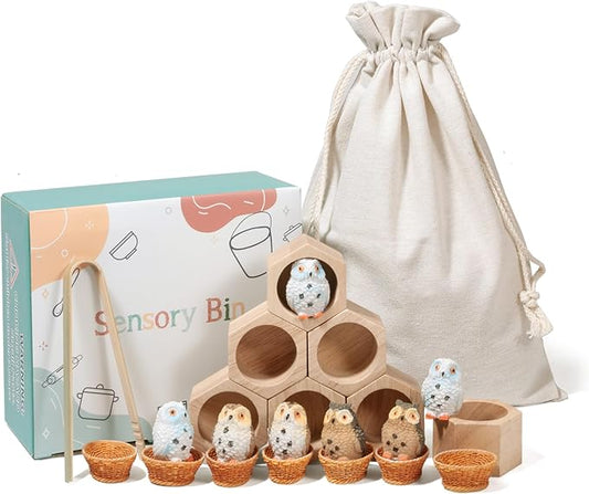 Sorting Stacking Wooden Toys for Toddlers, Owl Montessori Toys Toddler Sensory Bin Tool Toy, Wood Owl House Fine Motor Skill Toy Early Learning Preschool Educational Gift for Kids