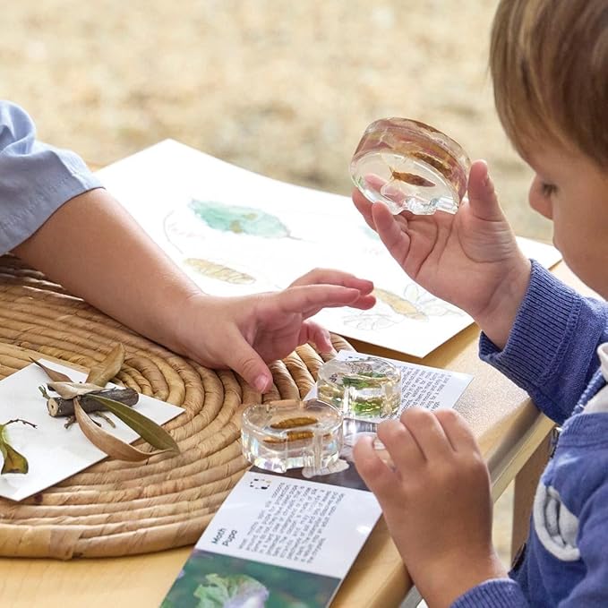 Kaplan Early Learning Specimen Life Cycle Puzzles - Moth