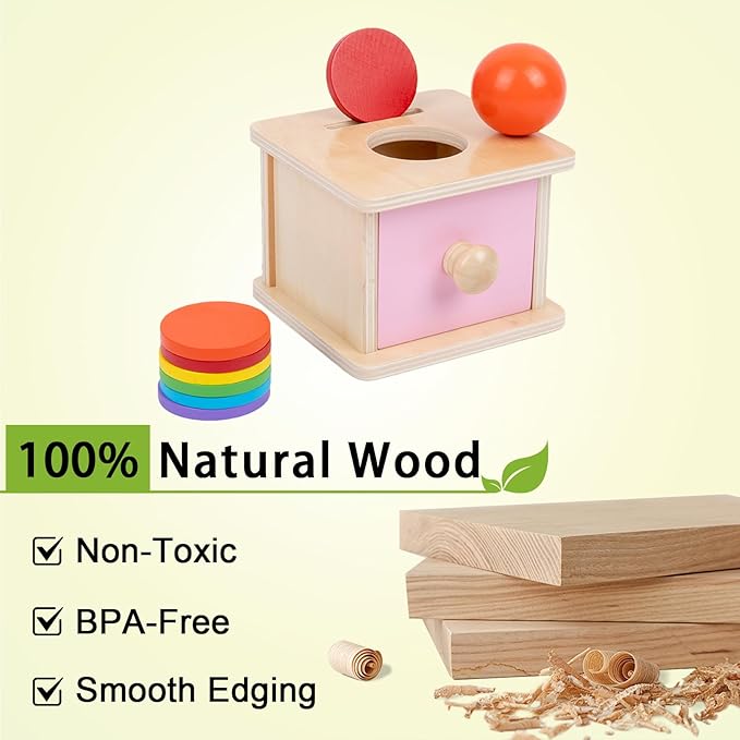 Adena Montessori Infant Toddlers Coin Box Montessori Toys for 6-12 Months Babies 1 Year 2 Year Old (2 in 1,Coin&Ball, Pink Door)