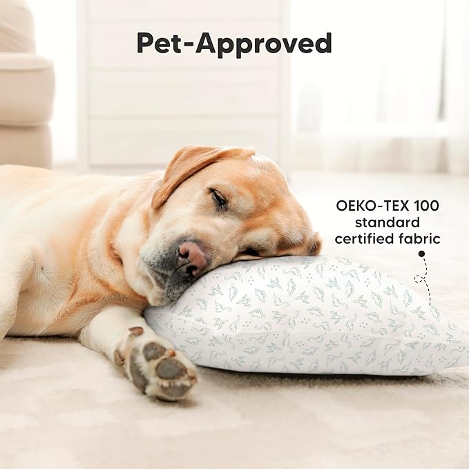 KeaBabies 2-Pack Toddler Pillow 13x18 - Soft Organic Cotton Kids Travel Bed Pillows for Sleeping, School, Nap, Machine Washable, Toddlers 2 to 5, Pillowcase Sold Separately (DinoLand)