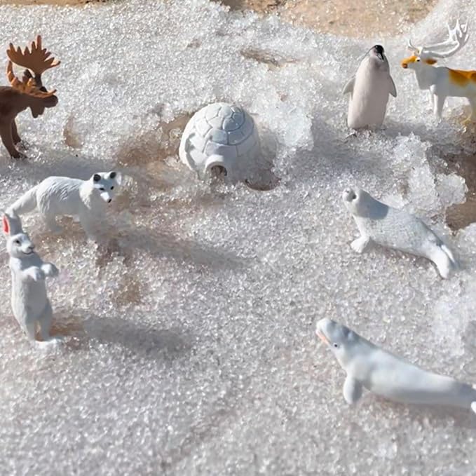 Safari Ltd Arctic TOOB With 10 Fun Figurines, Including A Harp Seal, Husky, Caribou, Arctic Rabbit, Killer Whale, Walrus, Arctic Fox, Beluga Whale, Igloo, And Polar Bear – For Ages 3 and Up