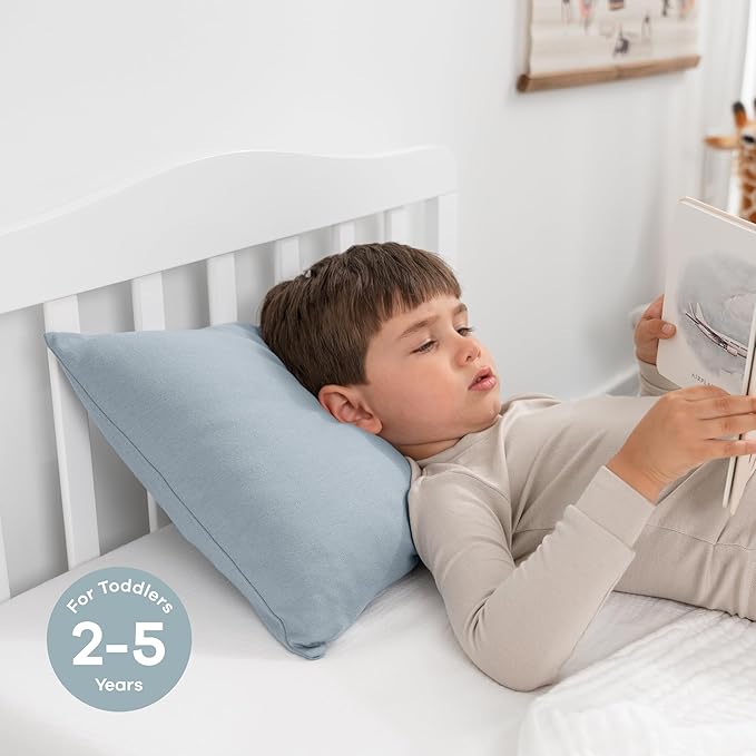 Comfy Cubs Toddler Pillow with Cotton Pillowcase, 13 x 18 in - Travel and Sleep Support for Kids - Lightweight, Breathable Microfiber Fill - Soft and Cozy Small Pillow for Toddlers - Pacific Blue