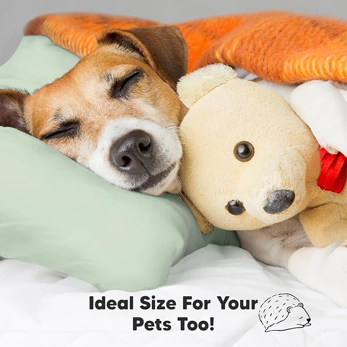 Toddler Pillow with Pillowcase - 13x18 My Little Dreamy Kids Travel Bed Pillows for Sleeping, Organic Cotton Small Pillowcase, Soft & Breathable, Machine Washable, Toddlers 2-5 Years Old (Sage)