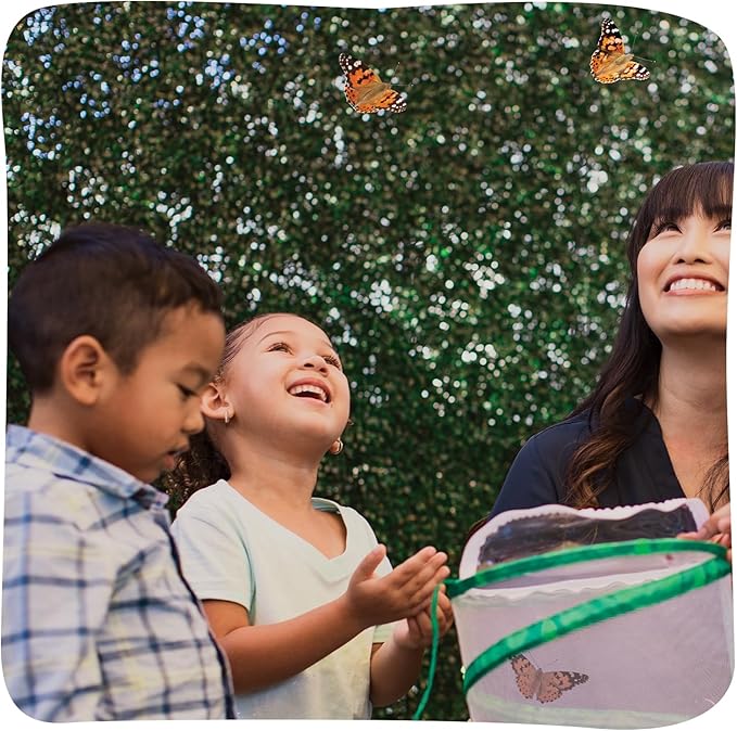 Insect Lore Raise and Release Butterfly Garden Kit – Caterpillar Habitat with redeemable Voucher – STEM-accredited Butterfly Growing Kit for Kids, Classrooms, and Homeschool Learning