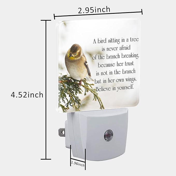 Plug in Night Lights Inspirational Quote on Life Nightlight Plug Into Wall Dusk to Dawn Sensor LED Night Light for Kid Girls Boys Women Room Decor,Hallway,Kitchen,Bathroom,Nursery,Stairs