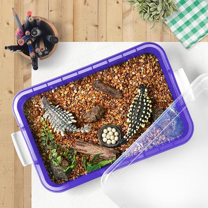 Madzee Plastic Activity Tray with lid for Slime, Beads, Sand and Sensory Toys – 15 Inches (Purple)