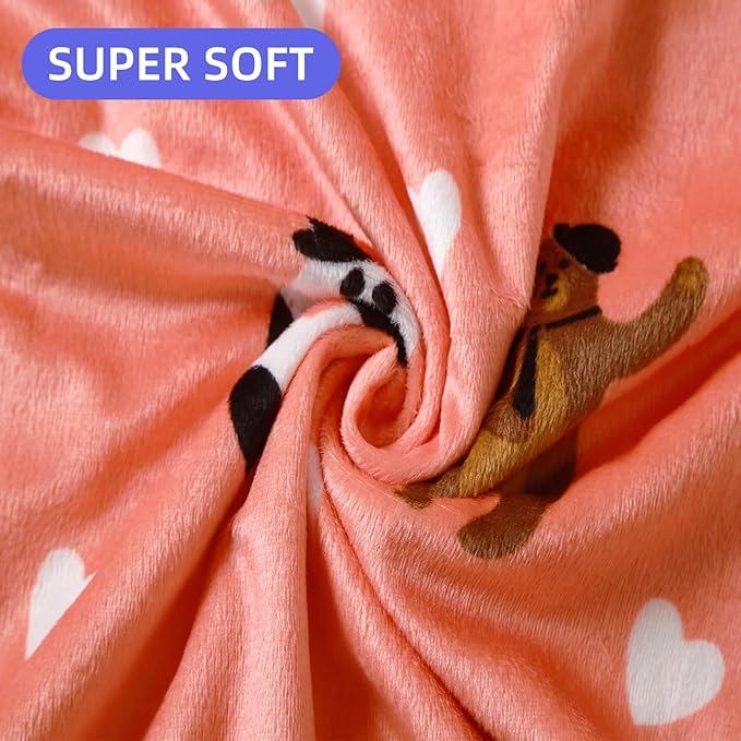 iEvolve Baby Nursery Bed Blankets Ultra Soft Double Layer Mini Blanket Minky Blanket Receiving Blankets Shower Gifts(Bear,45 * 60in)