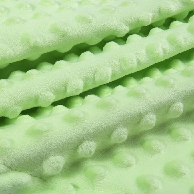 HOMRITAR Baby Blanket for Boys Girls Super Soft Minky Blanket with Dotted Backing, Dinosaurs Multicolor Printed for Toddler Nursery 30 x 40 Inch