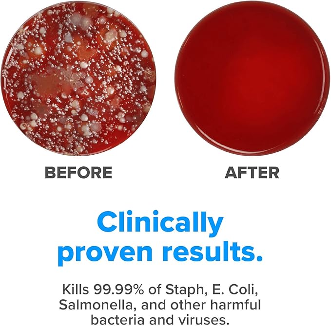 PhoneSoap XL (HomeSoap) UV Llight Sanitizer | 360° UV Sanitizing Box & Charger | Large Capacity | Sanitizes Tablets, Baby Bottles, Remotes, Toys & More (Black)