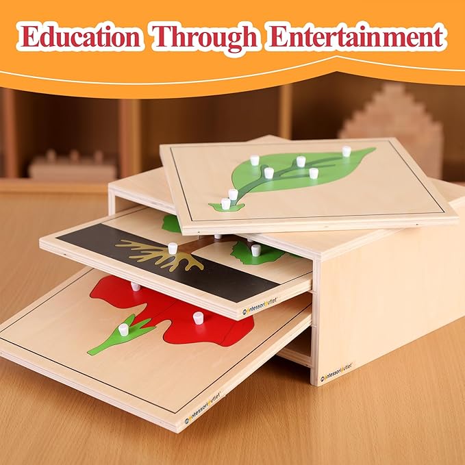 MONTESSORI OUTLET Nature Materials Leaf Puzzle Early Preschool Learning Toys for 3-12 Year Old Kids and Toddler