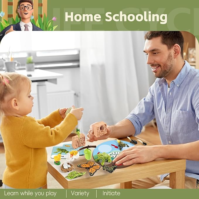 Life Cycle Kit Toy Montessori, Realistic Figurines Set for Kids with 25 Pieces Animals & Plants, Learning & Education Activity Games for Children 3 + |Preschool Classroom Must Haves