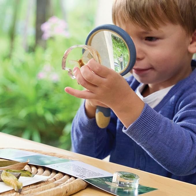 Kaplan Early Learning Specimen Life Cycle Puzzles - Moth