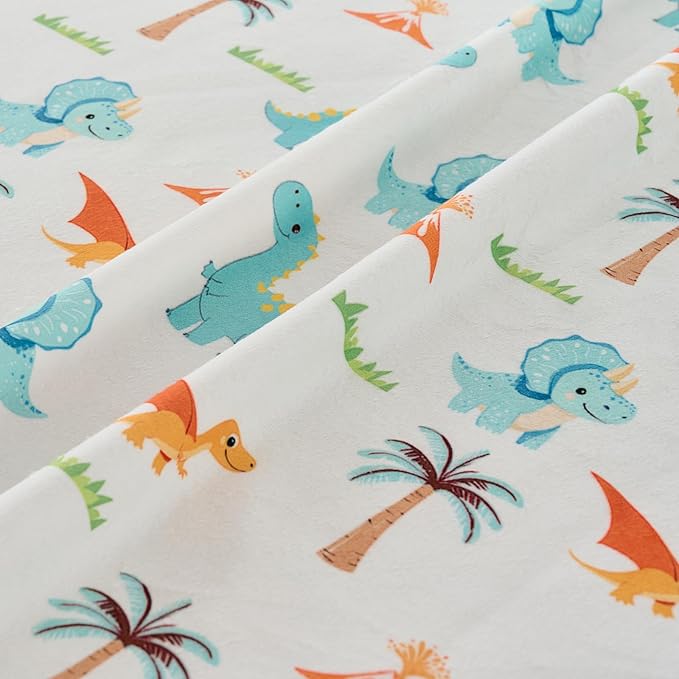 Baby Blanket 30x40 Inches Soft Double Layer Fleece Throw with Multicolor Dinosaur Gender Neutral Crib Blanket for Infant, Toddler, Newborn Baby Girl or Boy Shower Gift