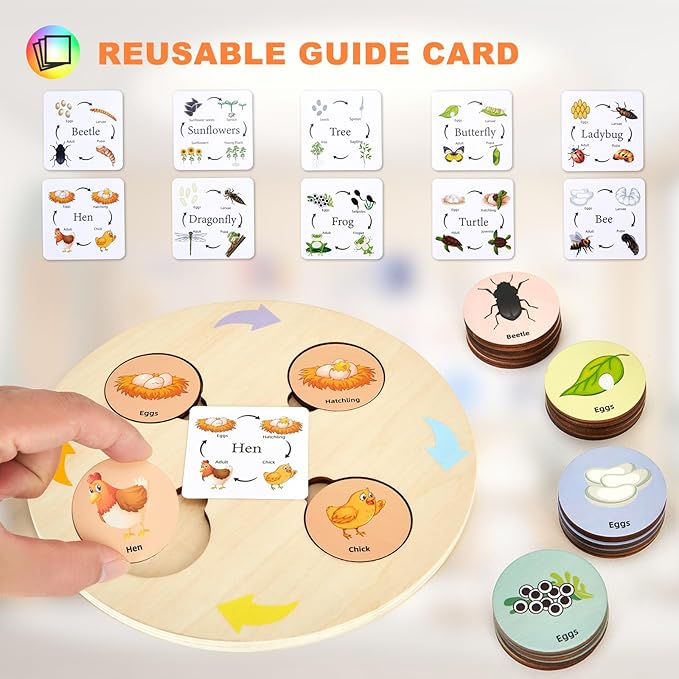 Life Cycle Toys for Kids Educational Science Kits, Montessori Toys for 3 4 5 6+ Years Old, Preschool Science Learning Easter Valentines Toys Gift for Toddler Boys & Girls