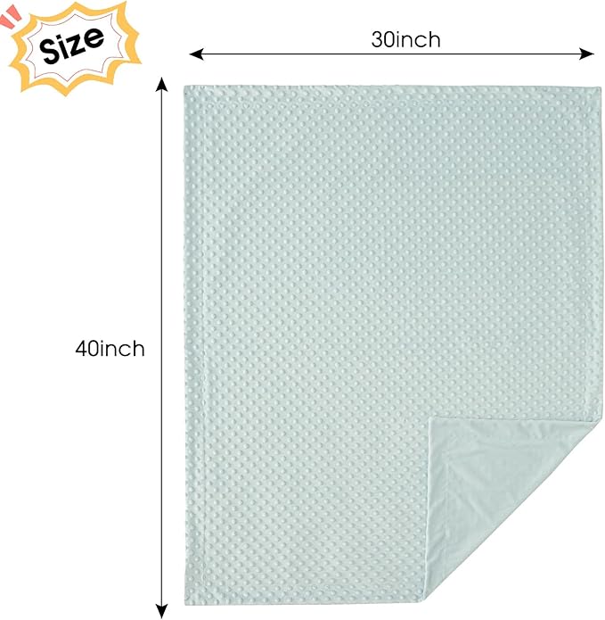 david's kids Micro Fleece Minky Baby Blanket for Boys Girls Neutral with Double Layer and Soothing Raised Dots, Breathable and Soft Lightweight Receiving Blanket for Newborns 30x40 Inches, Light Blue