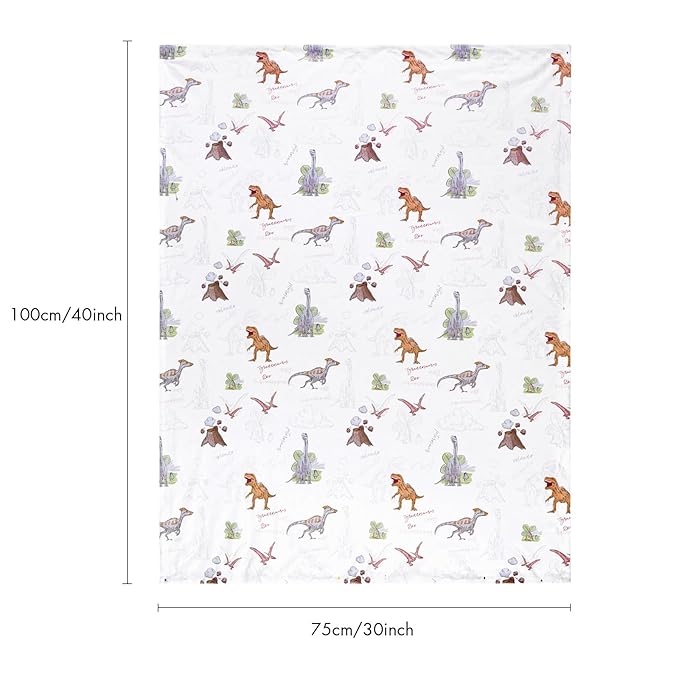 Soarwg Kids Baby Blanket Unisex Newborn, Super Soft Comfy Blankets, for Toddler Baby Nursery Bed Blanket Stroller Crib Shower Gifts, 30 x 40 Inch