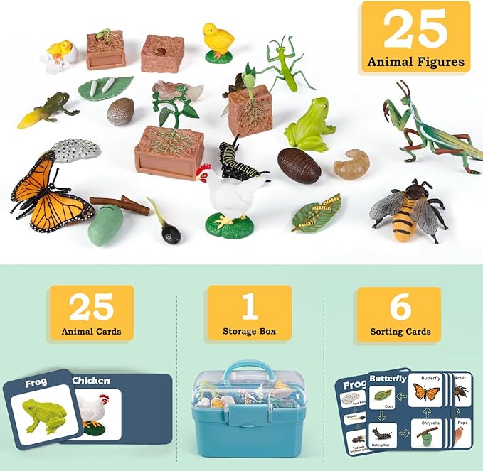 Life Cycle Learning Toys for Kids: Life Science Education Kits with Butterfly, Frog, Chicken, Mantis, Bee, Plants - 25 Pieces Animal Figurines Montessori Toys for Children Age 3 4 5 6 7 8+