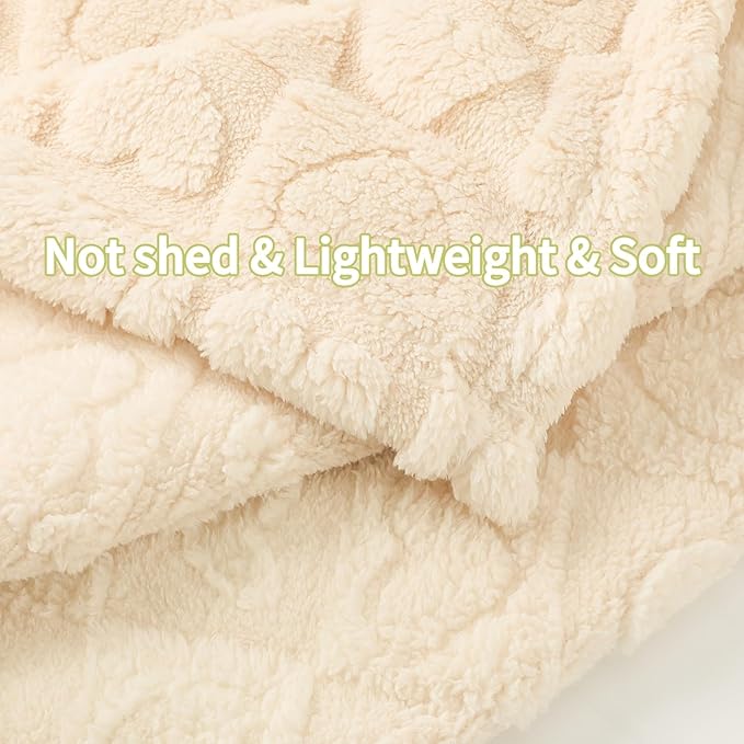 2 Pcs Cream White Small Blanket for Kids Soft Cozy Throw Blankets for Bed, Cute Small Travel Blanket, 40 X 50