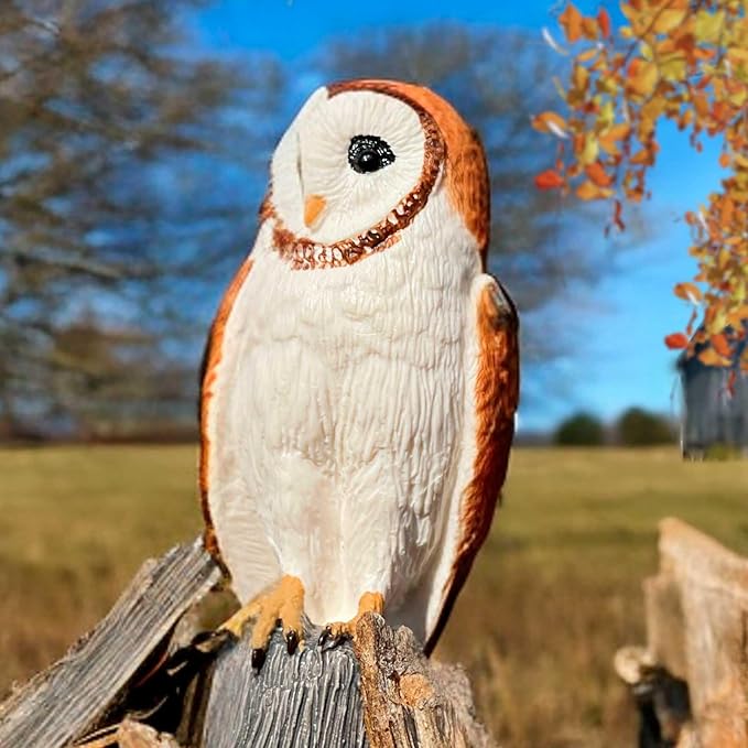 Safari Ltd. Barn Owl Figurine - Detailed 2.75" Plastic Model Figure - Fun Educational Play Toy for Boys, Girls & Kids Ages 3+