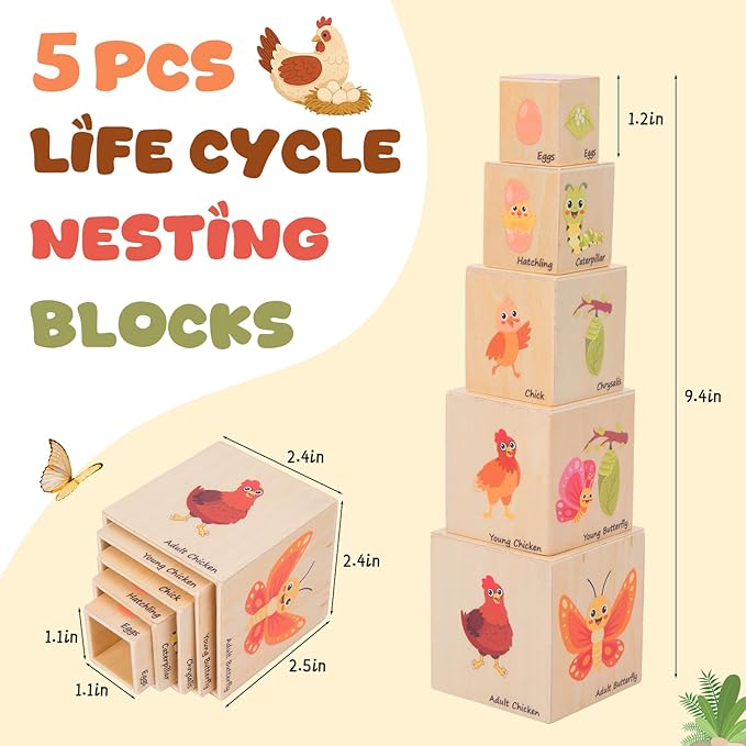 Wooden Life Cycle Nesting Blocks, Sorting & Stacking Montessori Toys for Kids, Preschool Educational Learning Cube Boxes for Toddlers 3+, Science Toy Set for Baby Boys & Girls (5 Pcs)