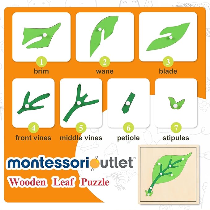MONTESSORI OUTLET Nature Materials Leaf Puzzle Early Preschool Learning Toys for 3-12 Year Old Kids and Toddler