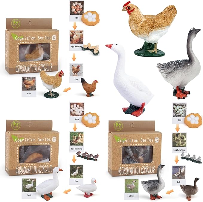 Montessori Life Cycle Animal Figurines Learning & Education Toys, Plastic Insect Life Cycle Toys for Kids, Preschool Learning Activities for Toddlers (Hen Goose Duck)