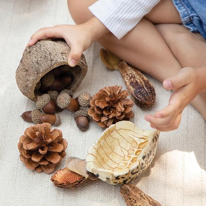 Kaplan Early Learning Nature's Geometry Loose Parts STEM Kit