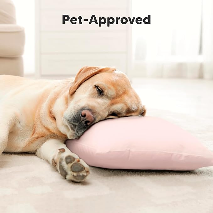 Toddler Pillow with Pillowcase - 13x18 My Little Cuddly Pillow, Viscose Derived From Bamboo Nursery Toddler Pillows for Sleeping, Kids Pillow, Small Travel Pillows, Mini Toddler Bed Pillow (Mist Pink)