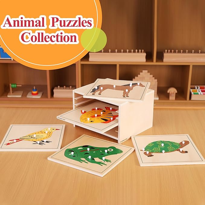 Montessori Outlet Bird Puzzle for 3-6 Years Montessori Education at School and Home