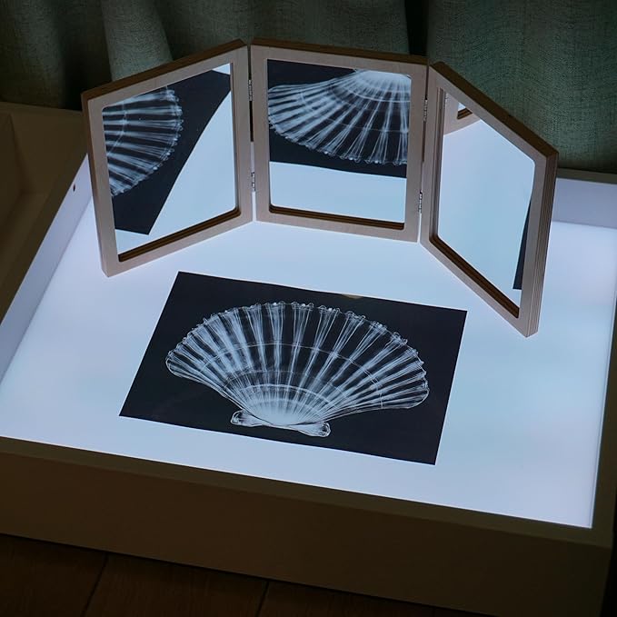 Animal X-Ray Set, Educational Science Kit, Light Table Accessory for Children (Insects)