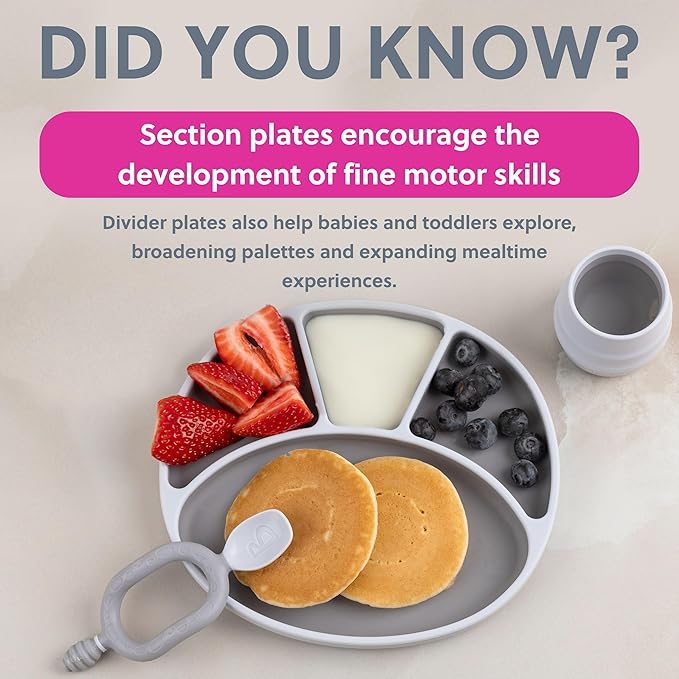 BIBaDO - Silicone Suction Divider Plate (Mist) - Toddler Plates - Help Develop Motor Skills - Durable, Dishwasher & Microwave Safe, BPA Free - Medical Grade - Baby Essentials - 6 Months to 3 Years