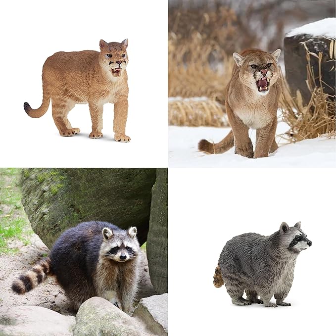 Toymany 12PCS North American Forest Animal Figurines, Realistic Jungle Animal Set Includes Moose,Cougar,Wolf,Bear,Eagle,Deer Educational Toy Cake Toppers Christmas Birthday Gift for Toddlers Kids 3-5