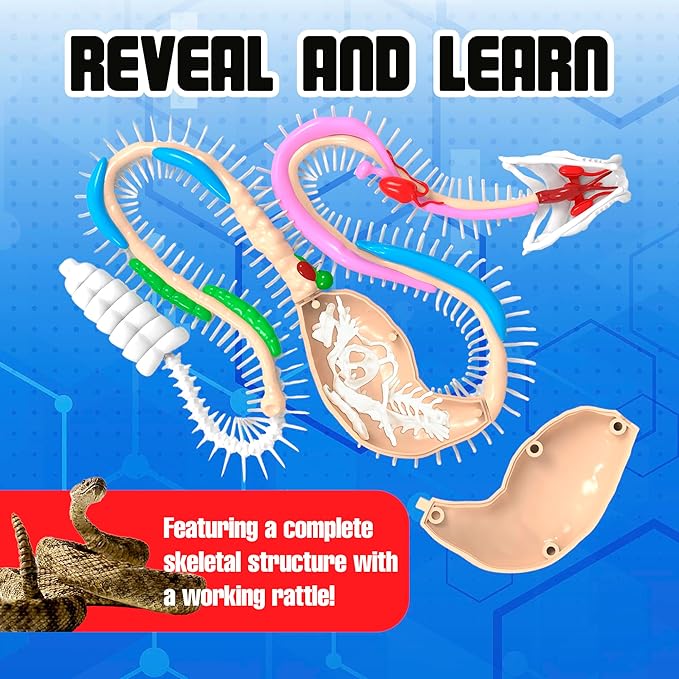 Rattlesnake Super Lab Dissect It Kit for Kids, Synthetic Dissection Kids Science Kit to Learn Biology, STEM Toys for 6 Year Old and Up