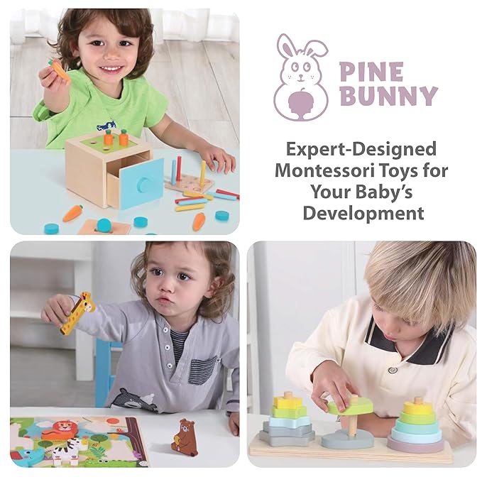 Pine Bunny Montessori Wooden 11-in-1 Toy Set for 13+ Months 3-in-1 Coins Carrots Matchsticks box Shape Sorter Bunny Doll Sand Hammer Animal Puzzle Educational Learning and Problem Solving Toddler Toys