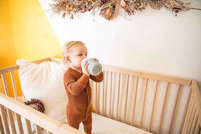 Lifefactory 8-Ounce Stainless-Steel Vacuum-Insulated Wide-Neck Baby Bottle with Hard Sippy, Stone Gray, LS2221WCG4