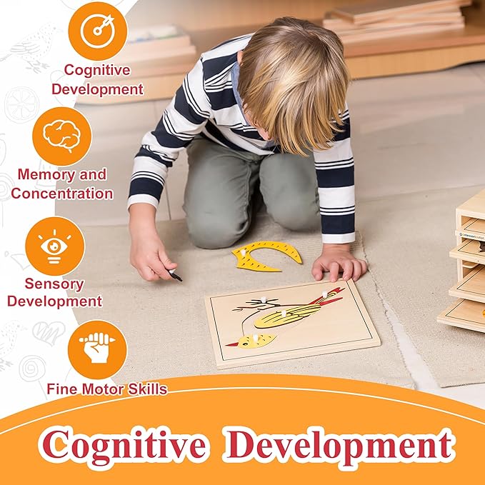 Montessori Outlet Bird Puzzle for 3-6 Years Montessori Education at School and Home