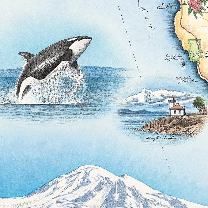 San Juan Island Map Cardboard Jigsaw Puzzle - 1000 Pieces, Hand-Illustrated - Educational, Family Activity, Ages 7+, Includes Poster - 25.4 x 19.8