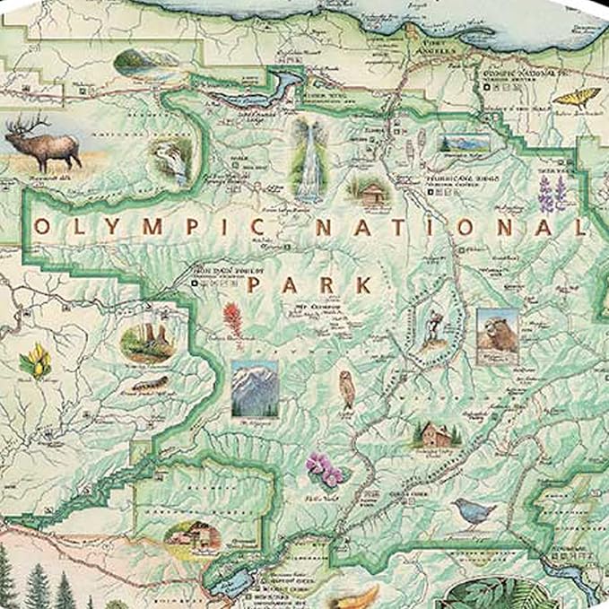 Olympic National Park Map Cardboard Jigsaw Puzzle -1000 Pieces, Hand-Illustrated - Educational, Family Activity, Ages 7+, Includes Poster - 25.4 x 19.8