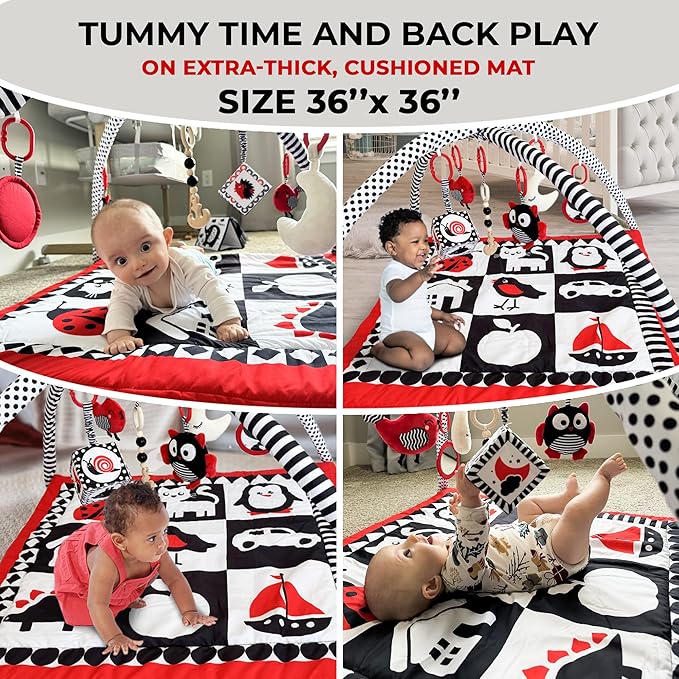 QUOKKA Padded Baby Gym Mat for Floor Tummy Time - High Contrast Baby Kick and Play Gym Mat - 6 Toys | Thick Pad | Machine Washable | Black White Red Colors for Vision Development
