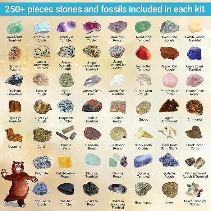 DANCING BEAR Rock, Mineral & Geodes Treasure Hunt Activity Kit (250 Pc Set) Real Shark Teeth Fossils, ID Sheet & Rock Book, STEM
