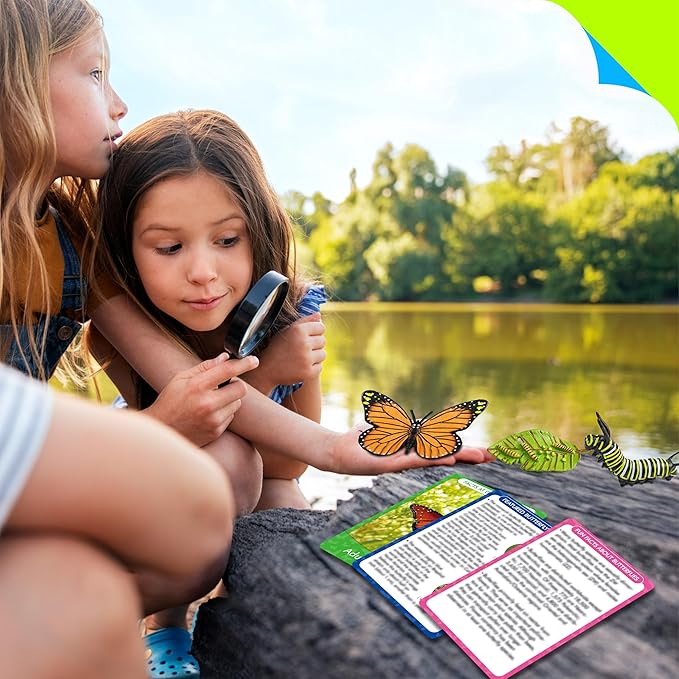 15 Butterfly Life Circle Flashcards with 4 Plastic Figurines, Butterflies Introduction Cards Plastic Insects Egg to Butterfly Kit Toy for Kids, Adults, Animal Lovers
